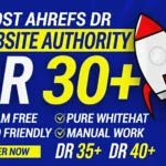 Boost Ahrefs DR 30 Plus Website Authority