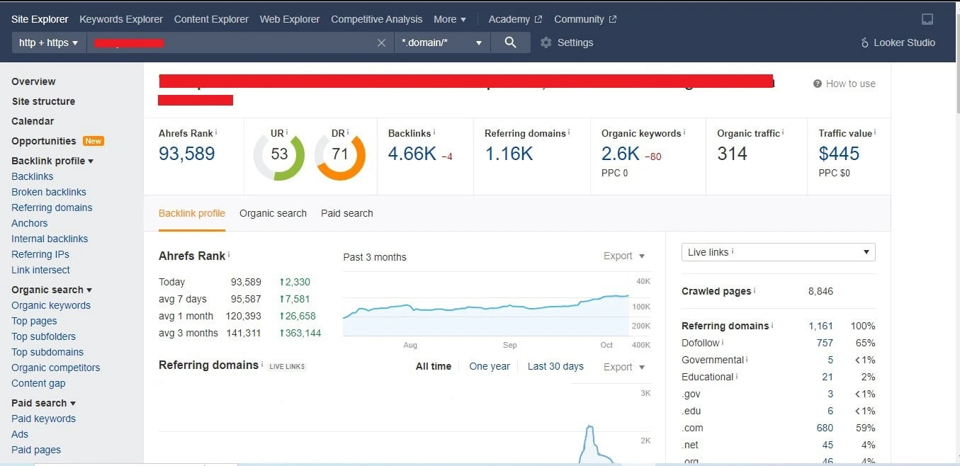 Website Domain Rating and URL Rating increase proof